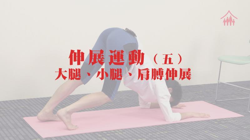 伸展運動 (五) - 大腿、小腿、肩膊伸展